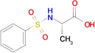 (2s)-2-Benzenesulfonamidopropanoic acid