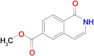 Methyl 1-oxo-1,2-dihydroisoquinoline-6-carboxylate