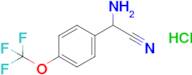 2-Amino-2-[4-(trifluoromethoxy)phenyl]acetonitrile hydrochloride