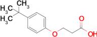 3-(4-Tert-butylphenoxy)propanoic acid