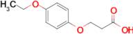 3-(4-Ethoxyphenoxy)propanoic acid