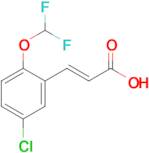 (2E)-3-[5-chloro-2-(difluoromethoxy)phenyl]prop-2-enoic acid