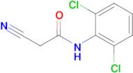 2-Cyano-N-(2,6-dichlorophenyl)acetamide