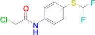 2-Chloro-N-{4-[(difluoromethyl)sulfanyl]phenyl}acetamide