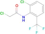 2-Chloro-N-[2-chloro-6-(trifluoromethyl)phenyl]acetamide