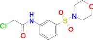 2-Chloro-N-[3-(morpholine-4-sulfonyl)phenyl]acetamide