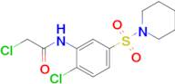 2-Chloro-N-[2-chloro-5-(piperidine-1-sulfonyl)phenyl]acetamide