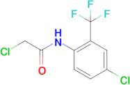 2-Chloro-N-[4-chloro-2-(trifluoromethyl)phenyl]acetamide