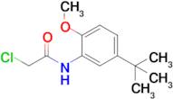 N-(5-Tert-butyl-2-methoxyphenyl)-2-chloroacetamide