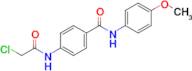 4-(2-Chloroacetamido)-N-(4-methoxyphenyl)benzamide