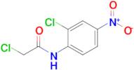 2-Chloro-N-(2-chloro-4-nitrophenyl)acetamide