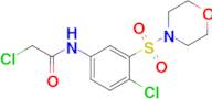 2-Chloro-N-[4-chloro-3-(morpholine-4-sulfonyl)phenyl]acetamide