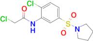 2-Chloro-N-[2-chloro-5-(pyrrolidine-1-sulfonyl)phenyl]acetamide