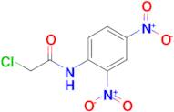 2-Chloro-N-(2,4-dinitrophenyl)acetamide