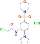 2-Chloro-N-[5-(morpholine-4-sulfonyl)-2-(pyrrolidin-1-yl)phenyl]acetamide hydrochloride