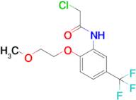 2-Chloro-N-[2-(2-methoxyethoxy)-5-(trifluoromethyl)phenyl]acetamide