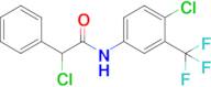 2-Chloro-N-[4-chloro-3-(trifluoromethyl)phenyl]-2-phenylacetamide