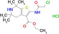 Ethyl 2-(2-chloroacetamido)-5,5,7,7-tetramethyl-4H,5H,6H,7H-thieno[2,3-c]pyridine-3-carboxylate ...