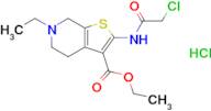 Ethyl 2-(2-chloroacetamido)-6-ethyl-4H,5H,6H,7H-thieno[2,3-c]pyridine-3-carboxylate hydrochloride