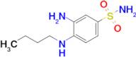 3-Amino-4-(butylamino)benzene-1-sulfonamide