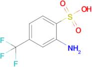 2-Amino-4-(trifluoromethyl)benzene-1-sulfonic acid