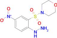 4-(2-Hydrazinyl-5-nitrobenzenesulfonyl)morpholine