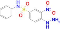 4-Hydrazinyl-3-nitro-N-phenylbenzene-1-sulfonamide