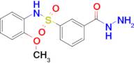 3-(Hydrazinecarbonyl)-N-(2-methoxyphenyl)benzene-1-sulfonamide