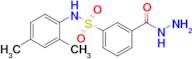 N-(2,4-Dimethylphenyl)-3-(hydrazinecarbonyl)benzene-1-sulfonamide