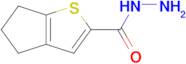 4H,5H,6H-Cyclopenta[b]thiophene-2-carbohydrazide