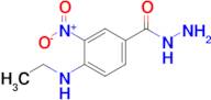 4-(Ethylamino)-3-nitrobenzohydrazide