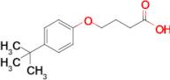 4-(4-Tert-butylphenoxy)butanoic acid