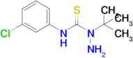 3-Amino-3-tert-butyl-1-(3-chlorophenyl)thiourea