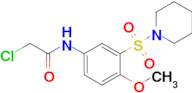 2-Chloro-N-[4-methoxy-3-(piperidine-1-sulfonyl)phenyl]acetamide