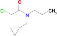 2-Chloro-N-(cyclopropylmethyl)-N-propylacetamide