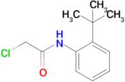 N-(2-Tert-butylphenyl)-2-chloroacetamide