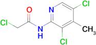 2-Chloro-N-(3,5-dichloro-4-methylpyridin-2-yl)acetamide