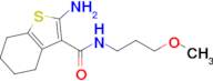 2-Amino-N-(3-methoxypropyl)-4,5,6,7-tetrahydro-1-benzothiophene-3-carboxamide