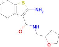 2-Amino-4,5,6,7-tetrahydro-N-[(tetrahydro-2-furanyl)methyl]benzo[b]thiophene-3-carboxamide