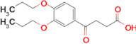 4-(3,4-Dipropoxyphenyl)-4-oxobutanoic acid