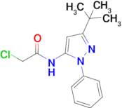 N-(3-Tert-butyl-1-phenyl-1H-pyrazol-5-yl)-2-chloroacetamide