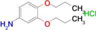 3,4-Dipropoxyaniline hydrochloride