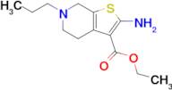 Ethyl 2-amino-6-propyl-4h,5h,6h,7h-thieno[2,3-c]pyridine-3-carboxylate