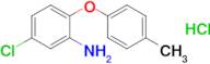 5-Chloro-2-(4-methylphenoxy)aniline hydrochloride