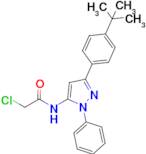 n-[3-(4-tert-butylphenyl)-1-phenyl-1h-pyrazol-5-yl]-2-chloroacetamide