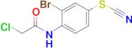 n-[2-bromo-4-(cyanosulfanyl)phenyl]-2-chloroacetamide