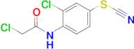 2-Chloro-n-[2-chloro-4-(cyanosulfanyl)phenyl]acetamide