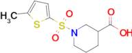 1-[(5-methylthiophen-2-yl)sulfonyl]piperidine-3-carboxylic acid