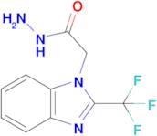 2-[2-(trifluoromethyl)-1h-1,3-benzodiazol-1-yl]acetohydrazide