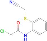 2-Chloro-n-{2-[(cyanomethyl)sulfanyl]phenyl}acetamide